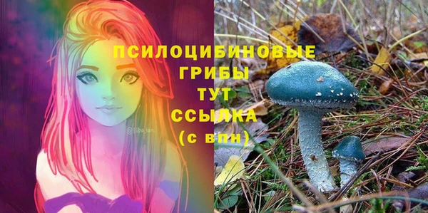 гидропоника Алексеевка