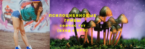 гидропоника Алексеевка