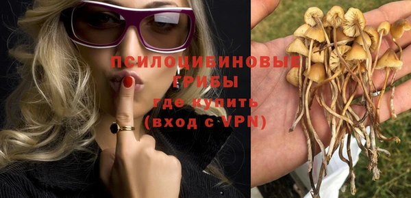 гидропоника Алексеевка