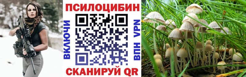 где купить наркоту  блэк спрут ССЫЛКА  Псилоцибиновые грибы мицелий  Луза 